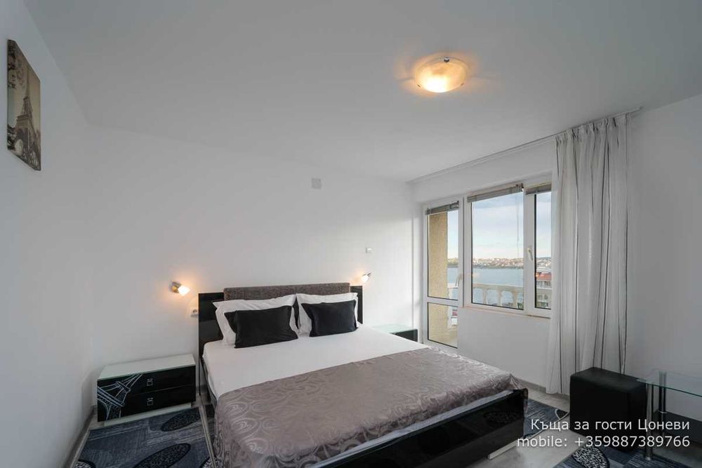 Самостоятелни стаи под наем