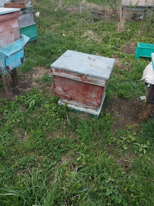 Centrifugă și lăzi orizontale