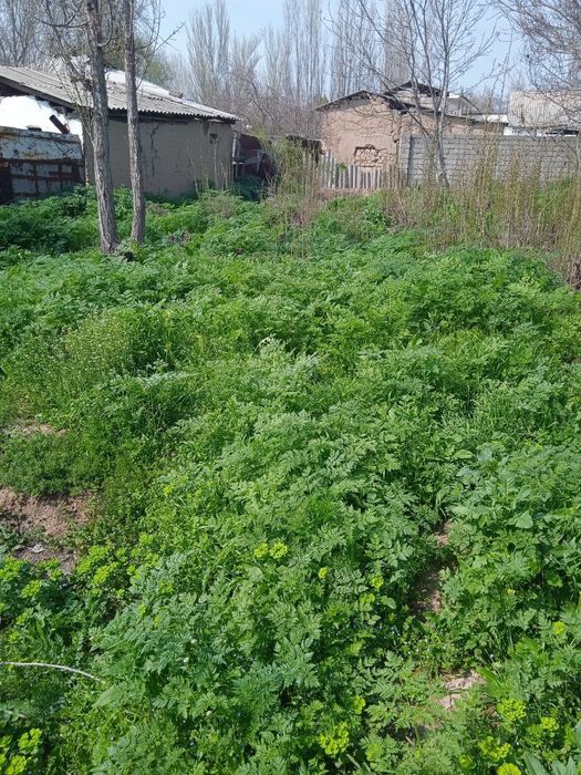 Ер сотилади яхши