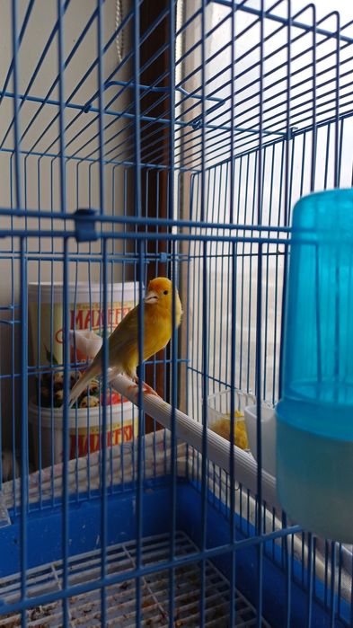 Срочно продаётся