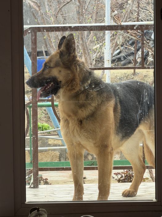 Вязка девушка. Кушиш мода.