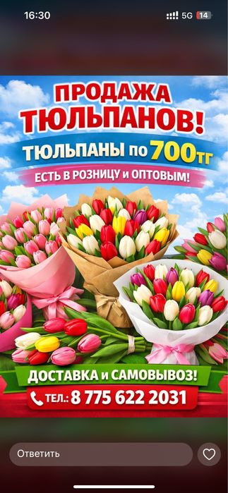 Цветы гулдер тюльпаны кызгалдактар