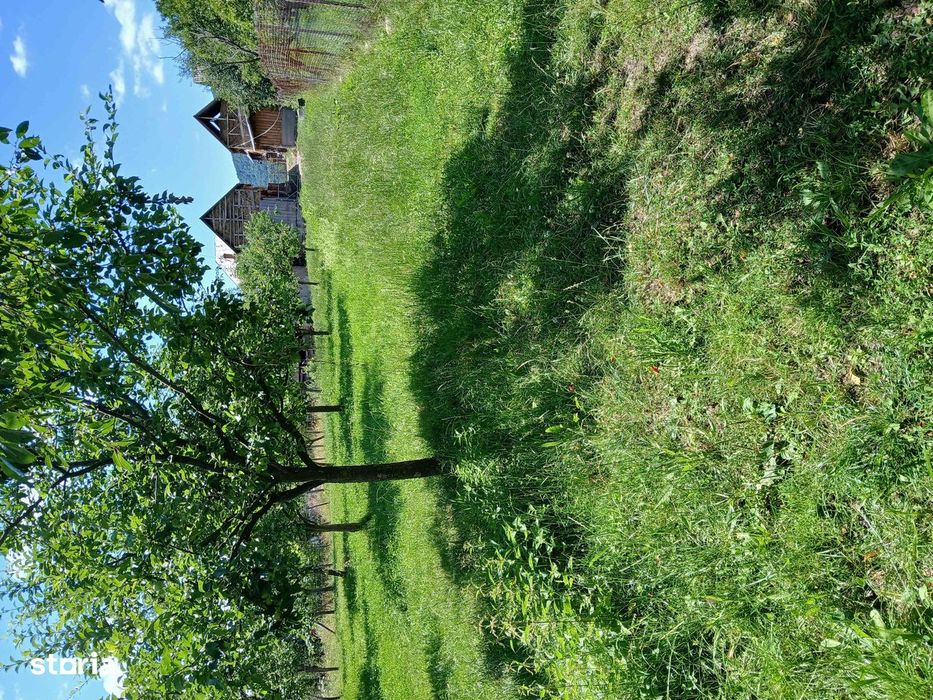 Teren intravilan de vânzare, 6719mp, rural