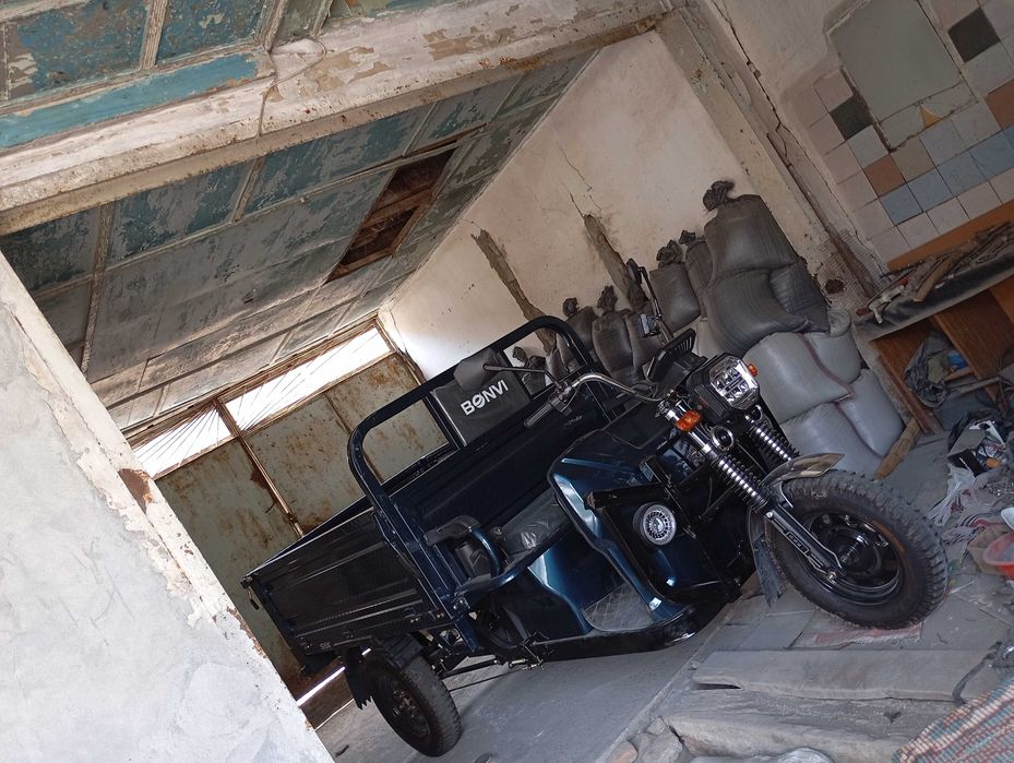 Маторол елекрония