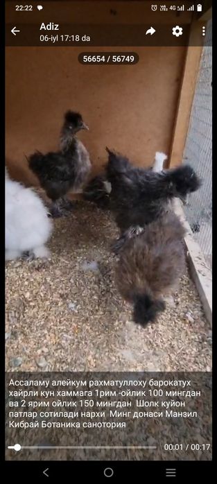 Video porno lezbiyenler oq yigit ogziga oq