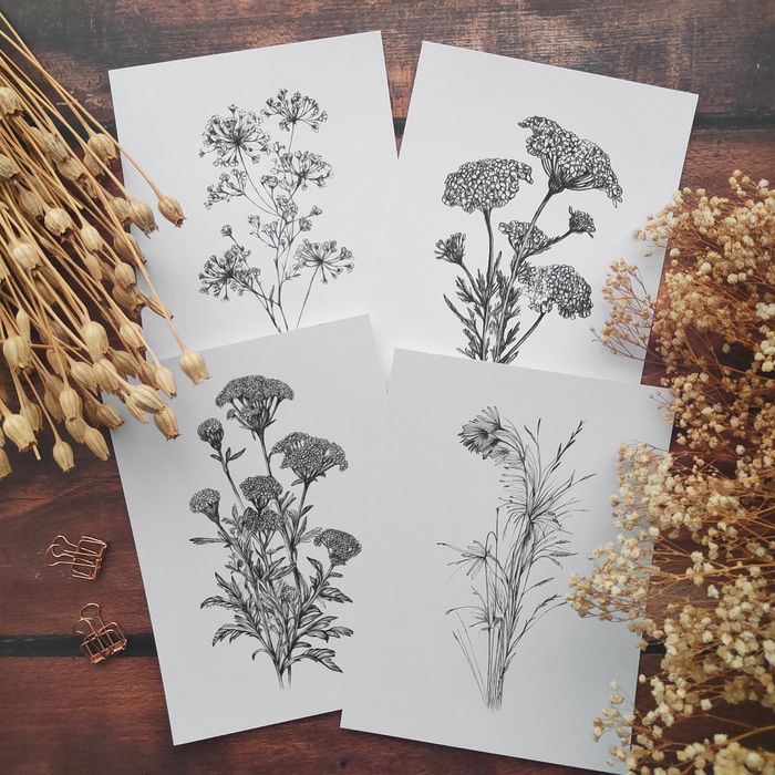 Малки графики на различни видове цветя, рисунки