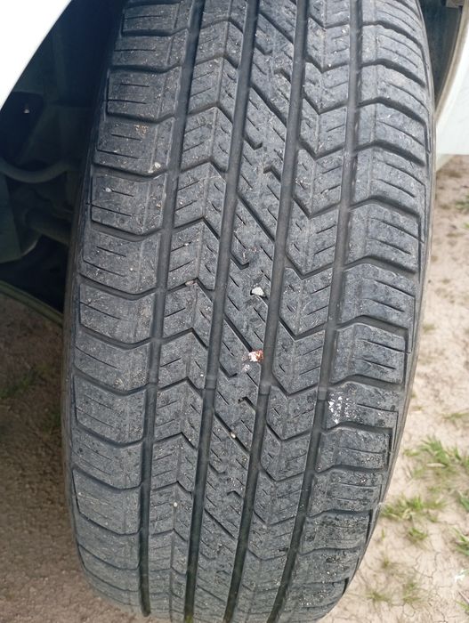 Diska Vossen Balon Ravon holati urta