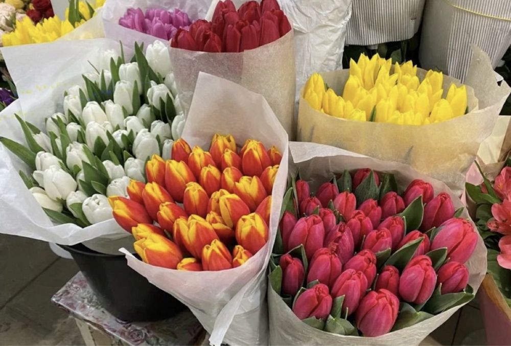 Белорусский тюльпан оптом