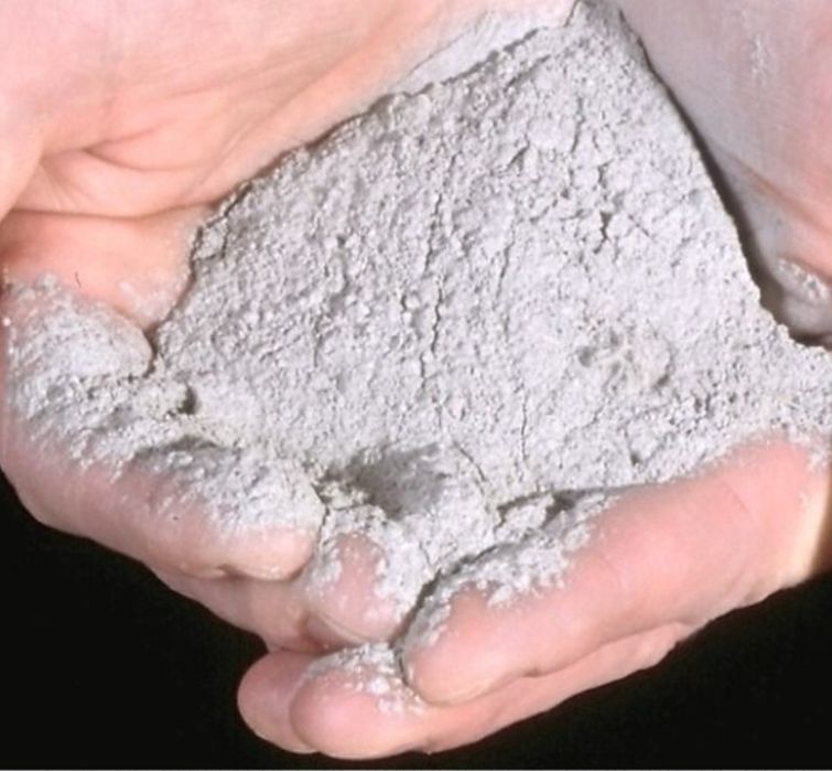 Vând Cenușă Bio din lemn  pentru gradina și găini 1 kg