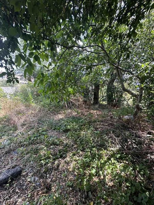 Дава се под наем Къща в София, Манастирски ливади - 80 кв.м за 586.5 € - Снимка #5