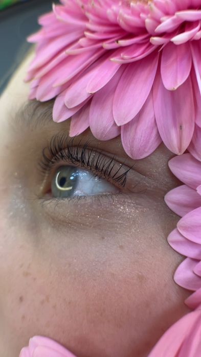 Бровист | Обучение | Ташкент