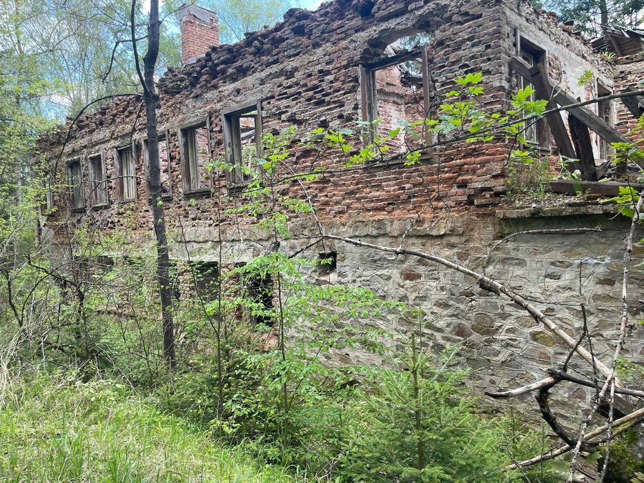 Продава се Парцел в Копривщица - 5551 кв.м за 55 €/кв.м - Снимка #5