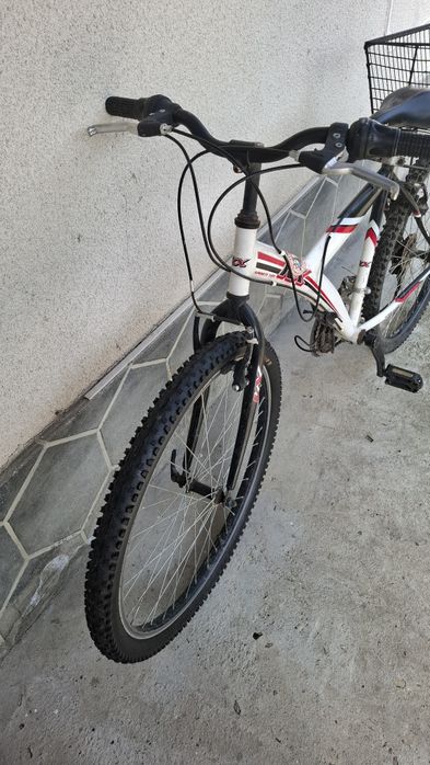 Bicicleta adulți