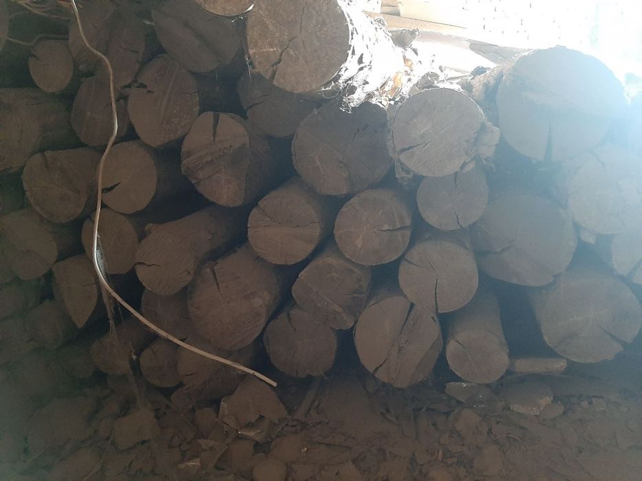 6 метрлик Хари янги состоянаси