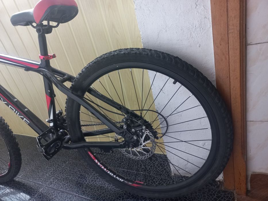 Bicicleta adulti