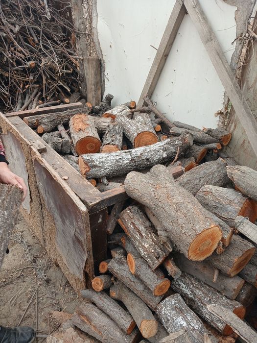 Maydalangan oʻtinlar sotiladi kundalari ham bor