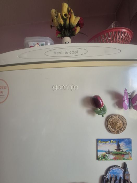 Хладилник Gorenje
