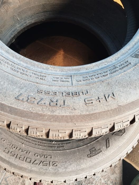 Зимние щины.сешка. 2шт