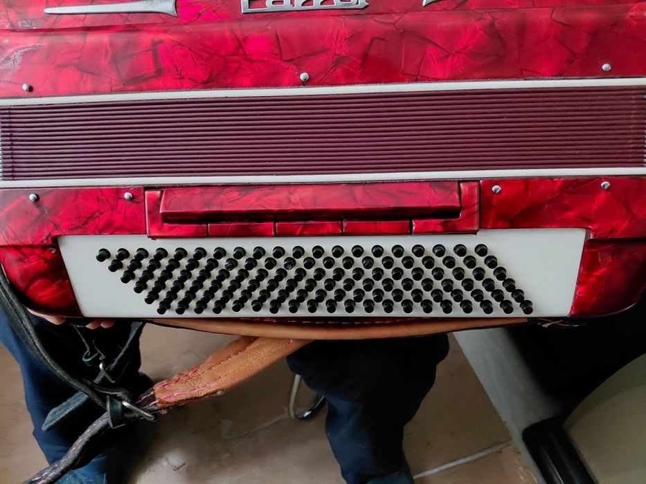 Vand Acordeon Parrot gama profesionala