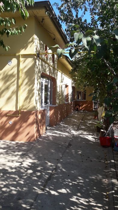 Inchiriez o camera la un baiat in afumati ilfov