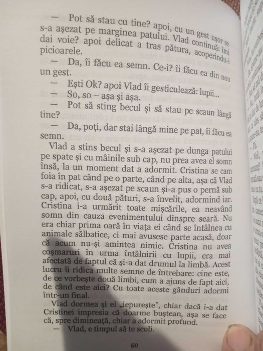 Roman  de aventuri și dragoste 2024