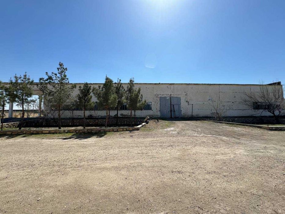 150 sotiq maydonga ega yer va tayyor biznes sotiladi.