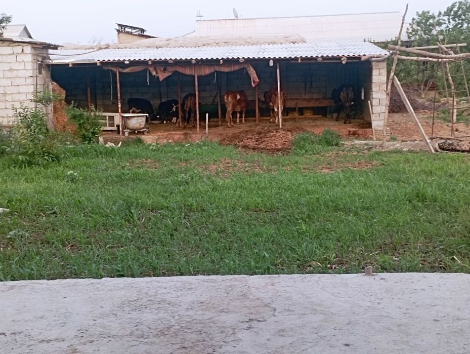 Hamma sharoitga uy sotiladi