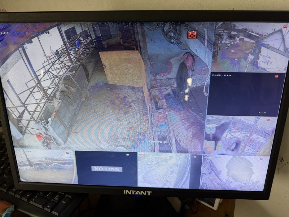 Продам дом с откормом для скота