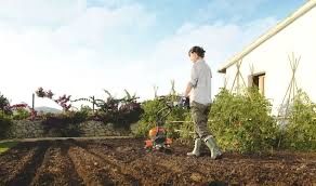 Аренда Инструментов аренда культиватор Мотоблок мотокультиватор