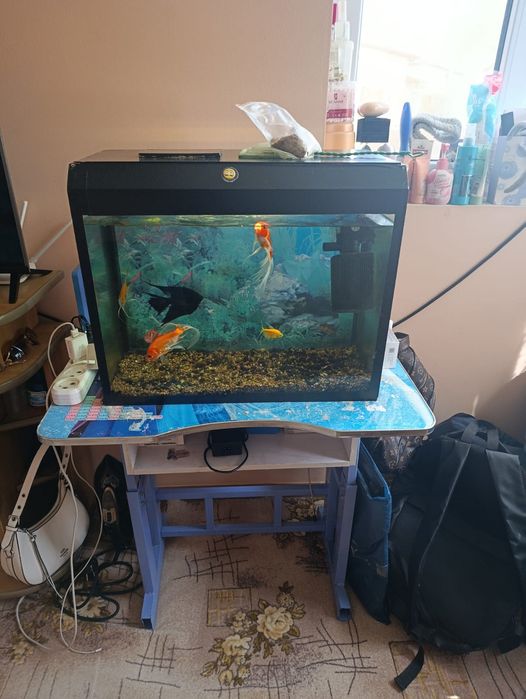 Аквариум с рыбками