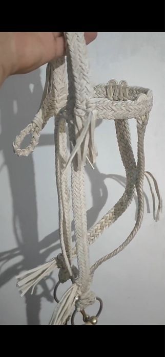 Қайыс жүген, қамшы (уздечка)