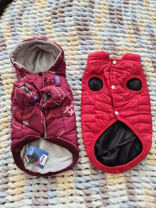 Одежда для собак.