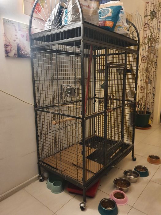 Colivie papagali Caesar/ Voliera