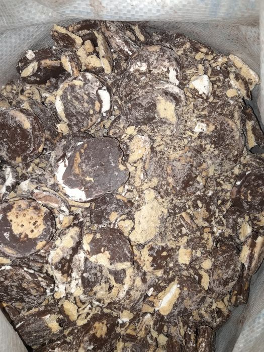 Mol qoylaga  pecheniy bor.