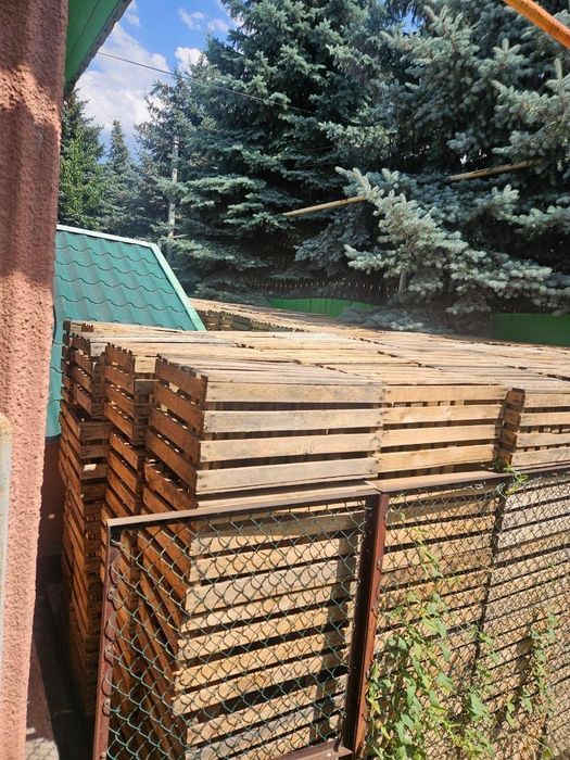 Продам срочно ящики  5000 шт общий