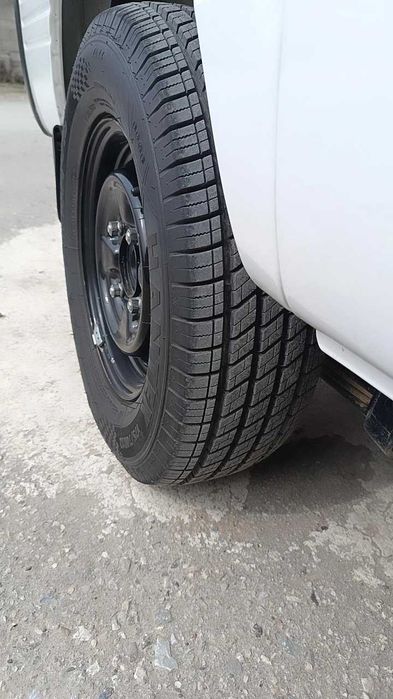 Damas Delux  tozzagina