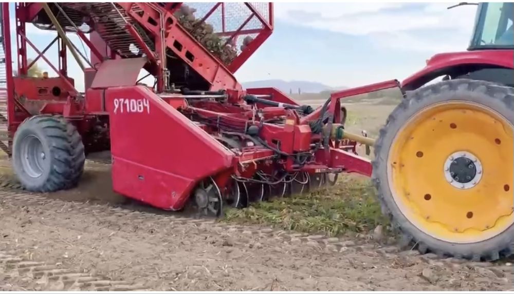Grimme Rootster 604
