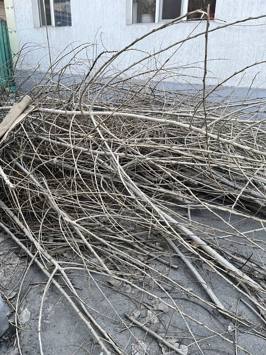 ДАРОМ отдам дрова для бани