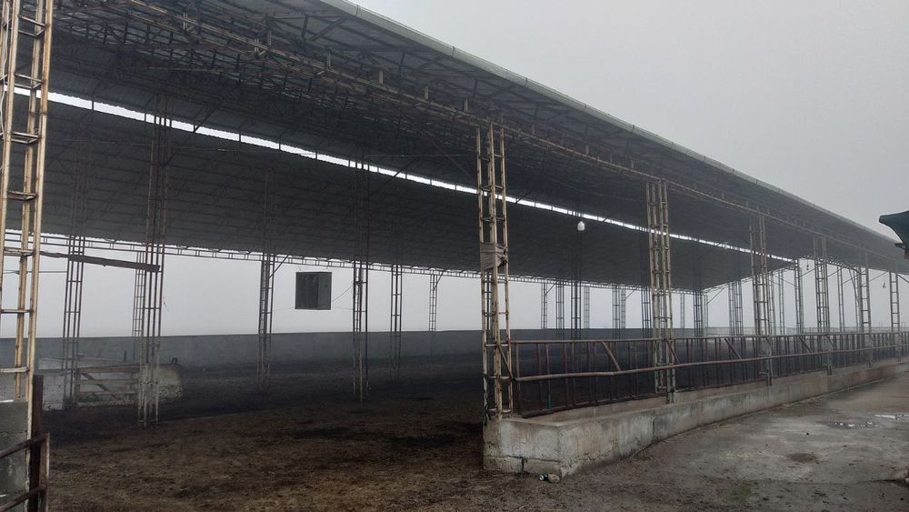 Biz sizlar uchun xar xil turdagi tom naves katta binolardi ustunsiz yo