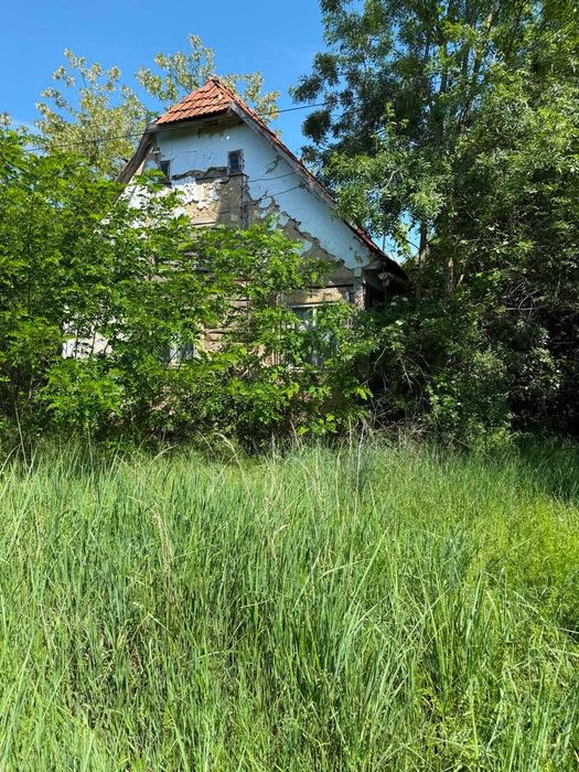 Proprietate 5.035 mp cu 3 case și teren intravilan – Mînerău, Arad