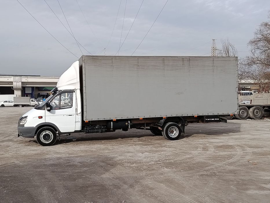 Gazel sotiladi 6 metrlik