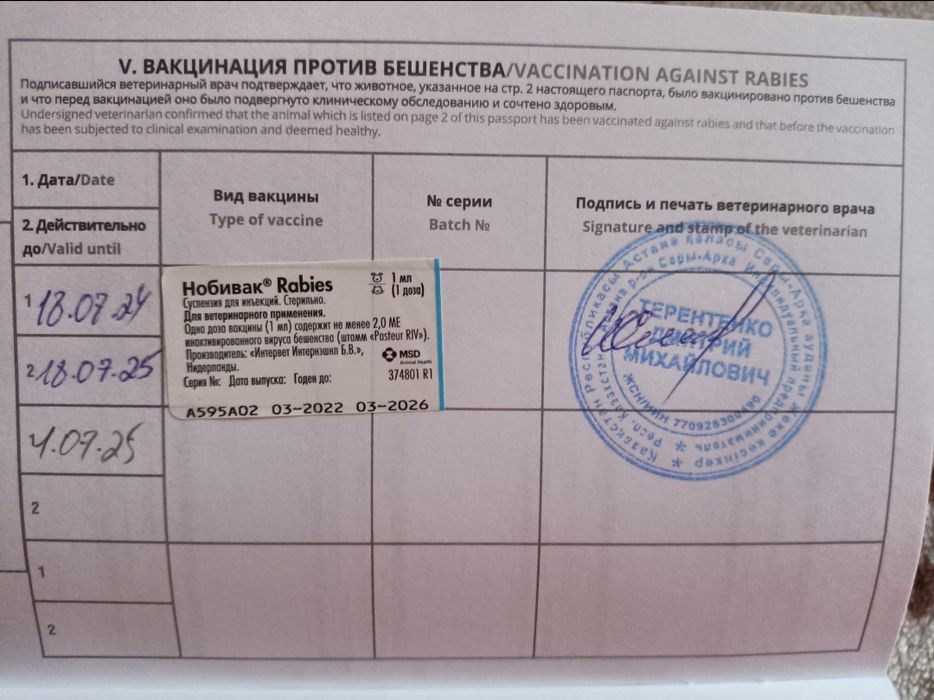 Аляскинский маламут