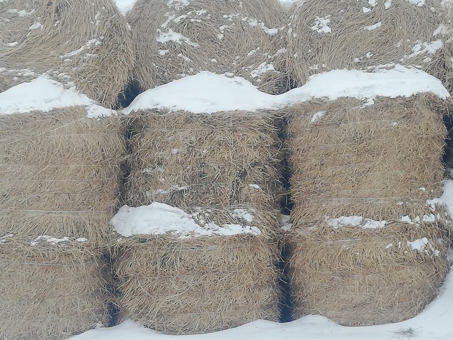 Продам слому, болшие рулоны Ечмен