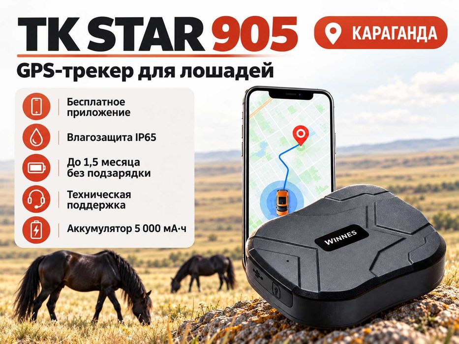 GPS трекер для лошадей. Жпс жылқыға