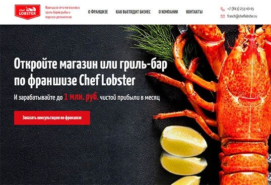 Разработка и продвижение сайта. Домен и хостинг в подарок