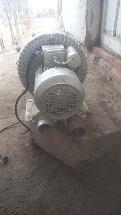 Gaz so'rgich shuningdek hovuzlarga kslarod xam beradi