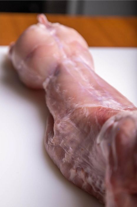 Alb Pannon Hycole Francez iepuri de carne