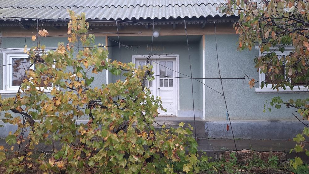 Casa sat Ciobanita, jud. Constanta (4000mp teren)