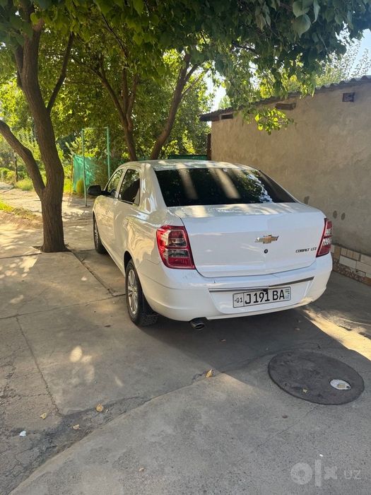 Cobalt LTZ 2023 full