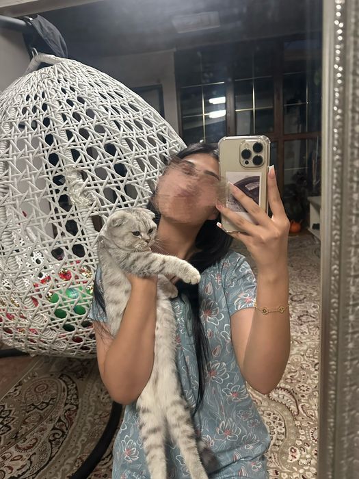 продам котенка в хорошие руки
